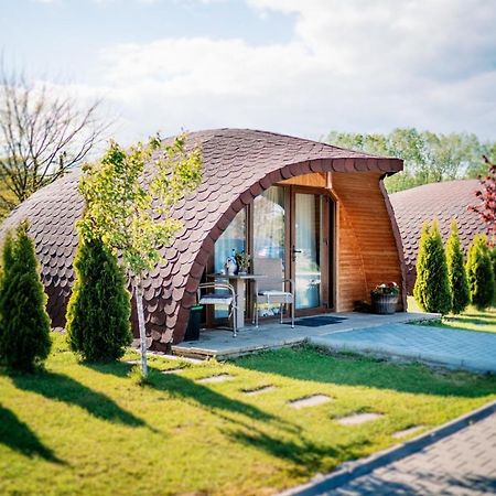 Montana Garden Hotell Răşinari Exteriör bild