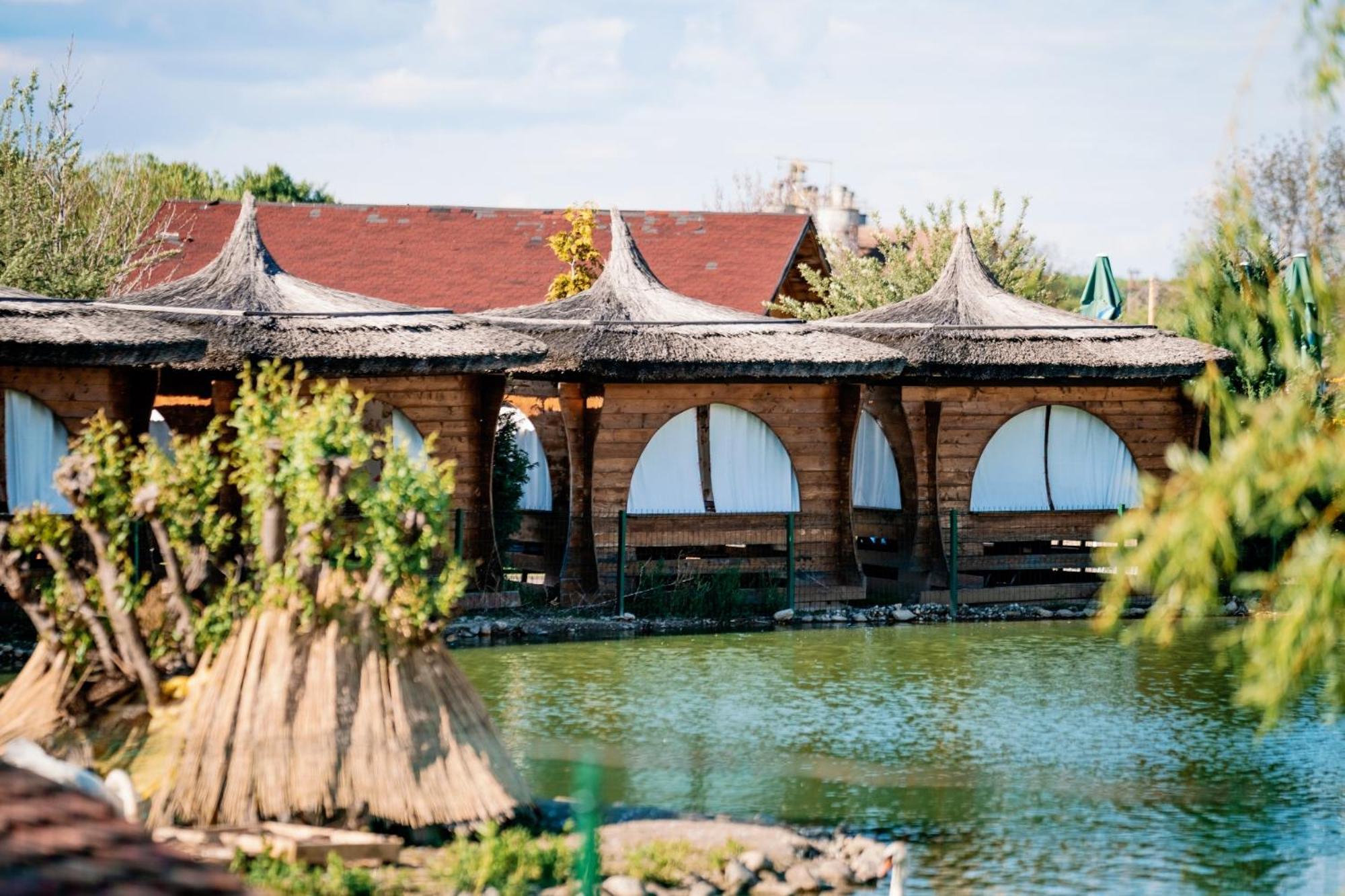 Montana Garden Hotell Răşinari Exteriör bild